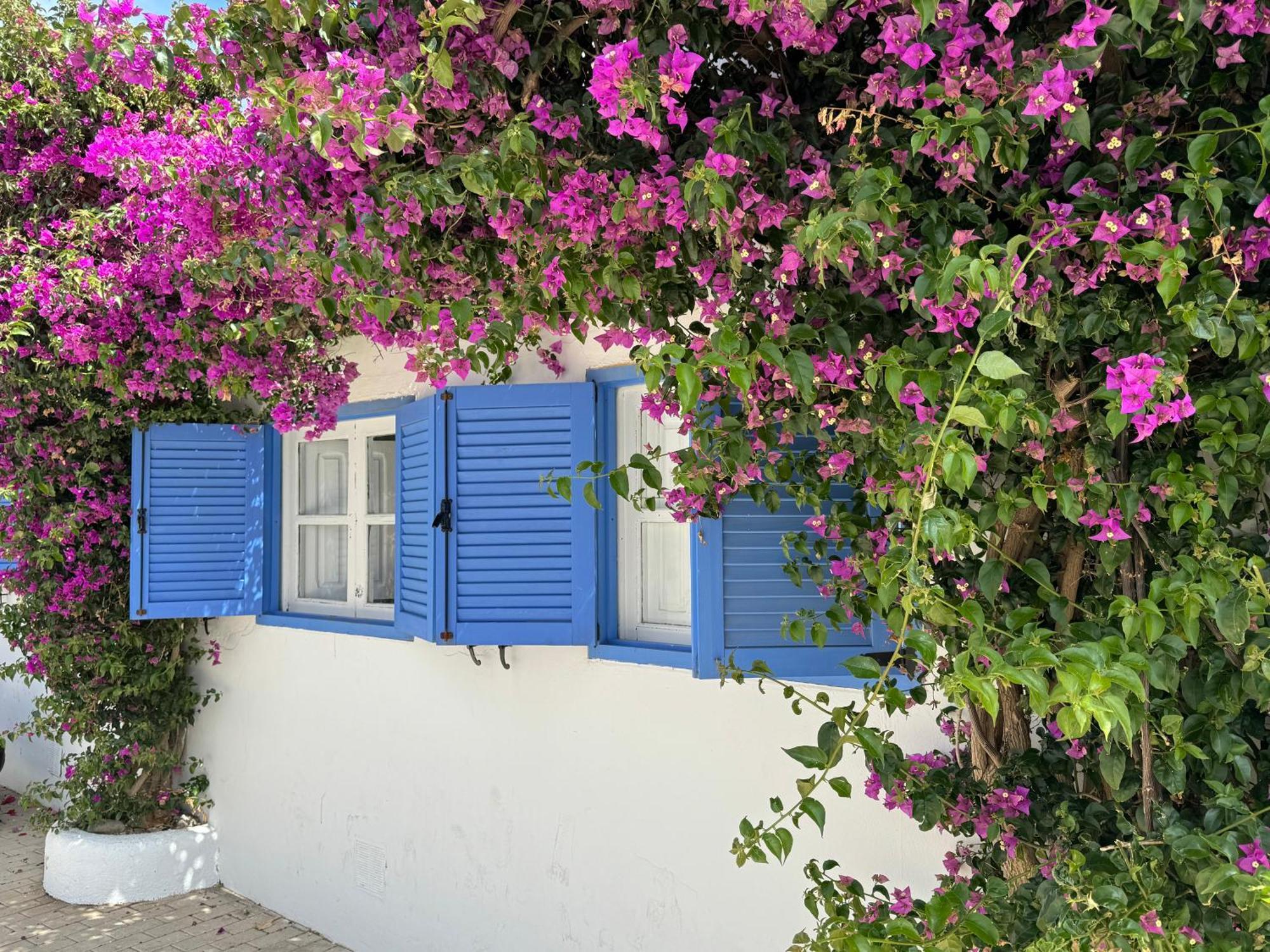 Apartament Casa Mellis Aguamarga Agua Amarga  Zewnętrze zdjęcie